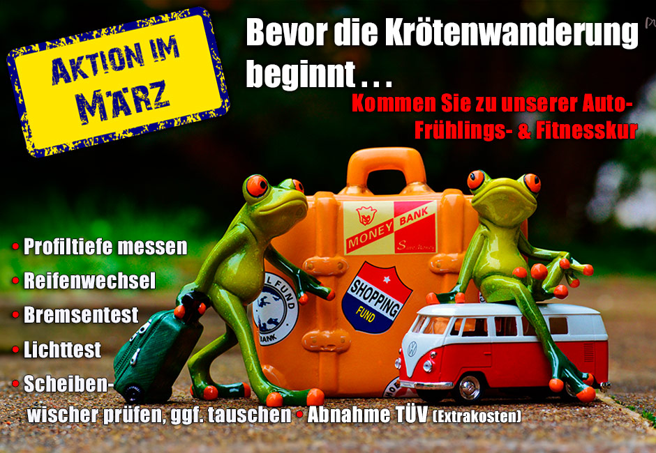 Bevor die Krötenwanderung beginnt ...